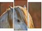 Triptych