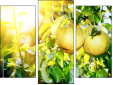 Triptych