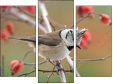 Triptych