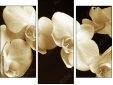 Triptych