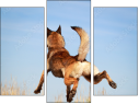 Triptych