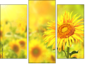 Triptych
