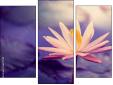 Triptych