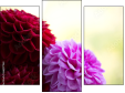 Triptych