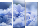 Triptych