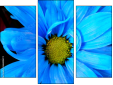 Triptych