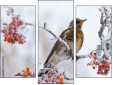 Triptych