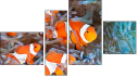 Fortyk