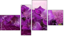Fortyk