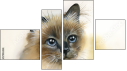 Fortyk