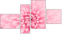 Fortyk