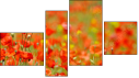 Fortyk