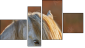 Fortyk