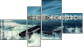 Fortyk
