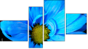 Fortyk