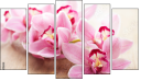 Pentaptych