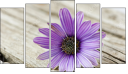 Pentaptych