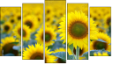 Pentaptych