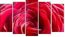 Pentaptych