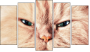 Pentaptych