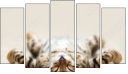 Pentaptych