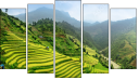 Pentaptych