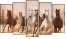Pentaptych
