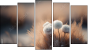 Pentaptych