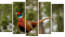 Pentaptych
