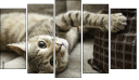 Pentaptych