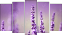 Pentaptych