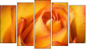 Pentaptych