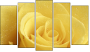 Pentaptych