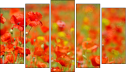 Pentaptych