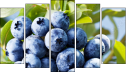 Pentaptych