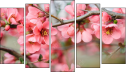 Pentaptych