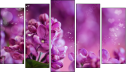 Pentaptych