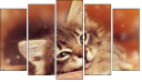 Pentaptych