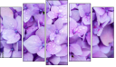 Pentaptych