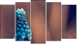Pentaptych