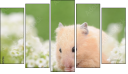 Pentaptych