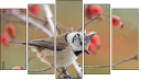 Pentaptych