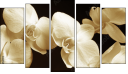 Pentaptych