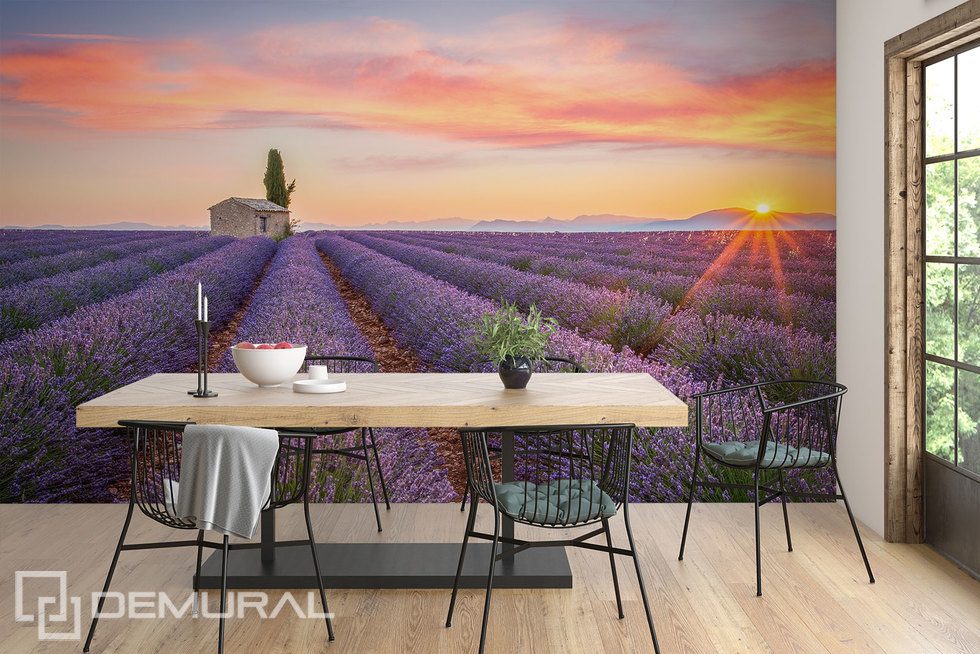 Un champ de lavande à l'horizon Papiers peints Provence Papiers peints Demural