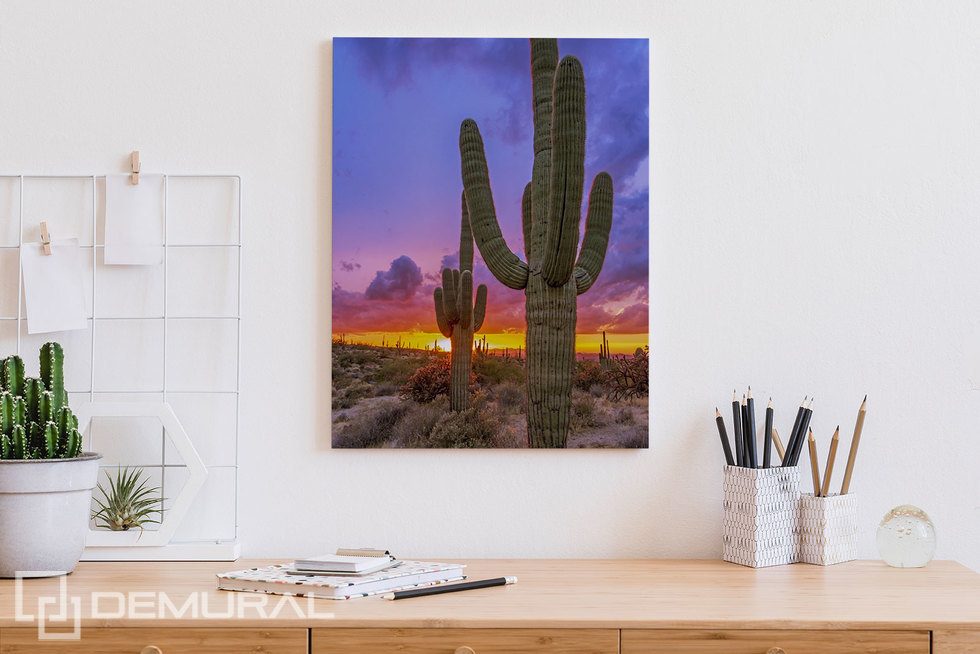Coucher de soleil sur la vallée des cactus Tableaux pour bureau Tableaux Demural