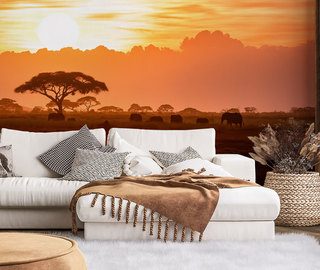coucher de soleil africain papiers peints coucher de soleil papiers peints demural