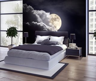 lune la nuit papier peint pour le chambres a coucher papiers peints demural