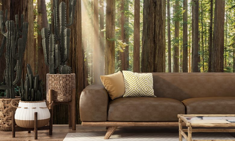 profondeur de la foret lumiere et paix papiers peints foret papiers peints demural