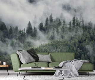 brume matinale sur le paysage forestier papiers peints de paysage papiers peints demural