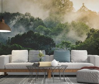 brume matinale sur la foret tropicale papier peint pour le salon papiers peints demural
